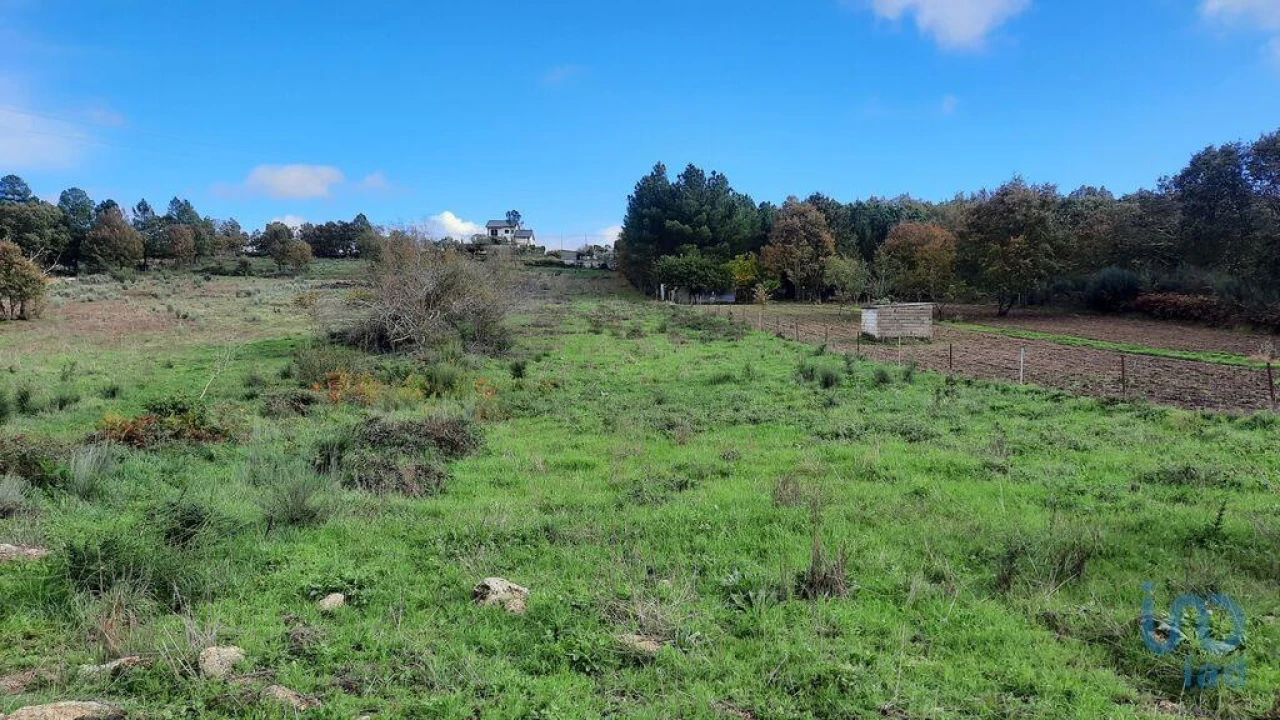 Terreno para Venda em Sabugal e Aldeia de Santo António Foto 4