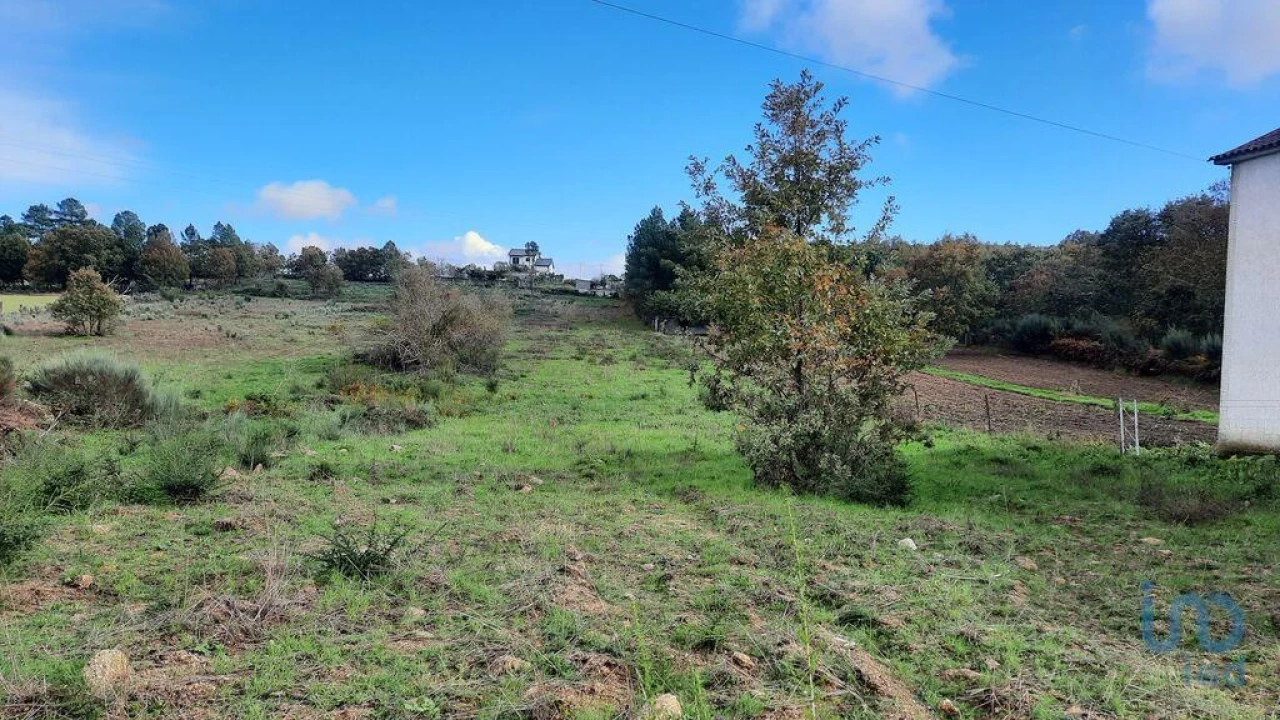 Terreno para Venda em Sabugal e Aldeia de Santo António Foto 6