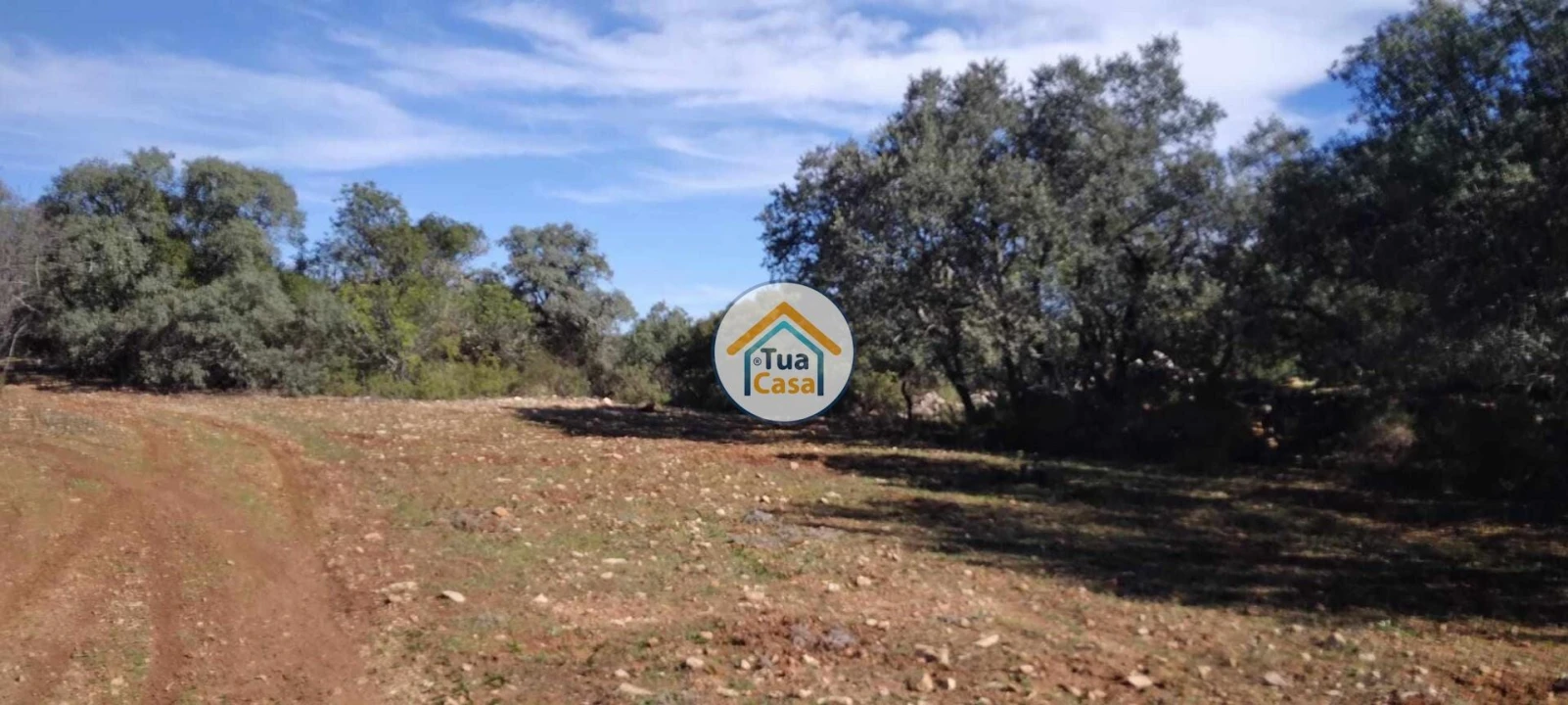 Terreno para Venda em São Brás de Alportel Foto 18