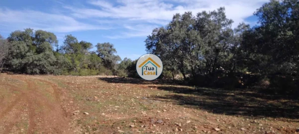 Terreno para Venda em São Brás de Alportel