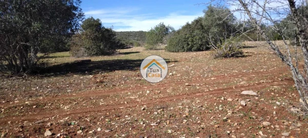 Terreno para Venda em São Brás de Alportel