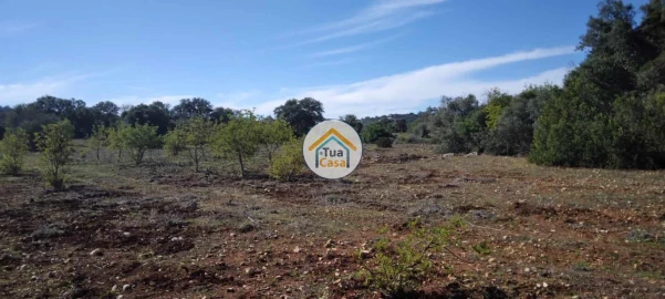 Terreno para Venda em São Brás de Alportel