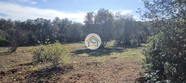 Terreno para Venda em São Brás de Alportel