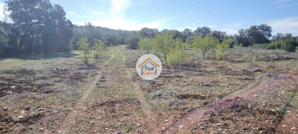 Terreno para Venda em São Brás de Alportel
