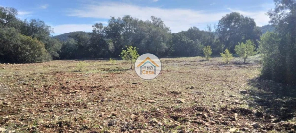Terreno para Venda em São Brás de Alportel