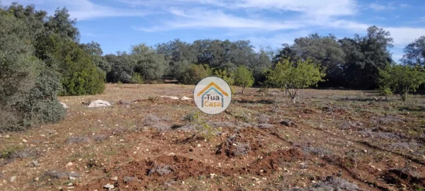 Terreno para Venda em São Brás de Alportel