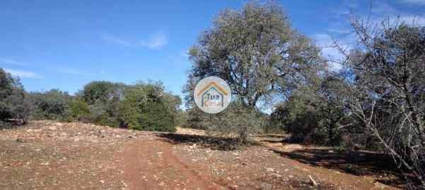 Terreno para Venda em São Brás de Alportel