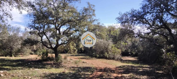 Terreno para Venda em São Brás de Alportel