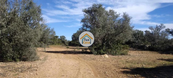 Terreno para Venda em São Brás de Alportel