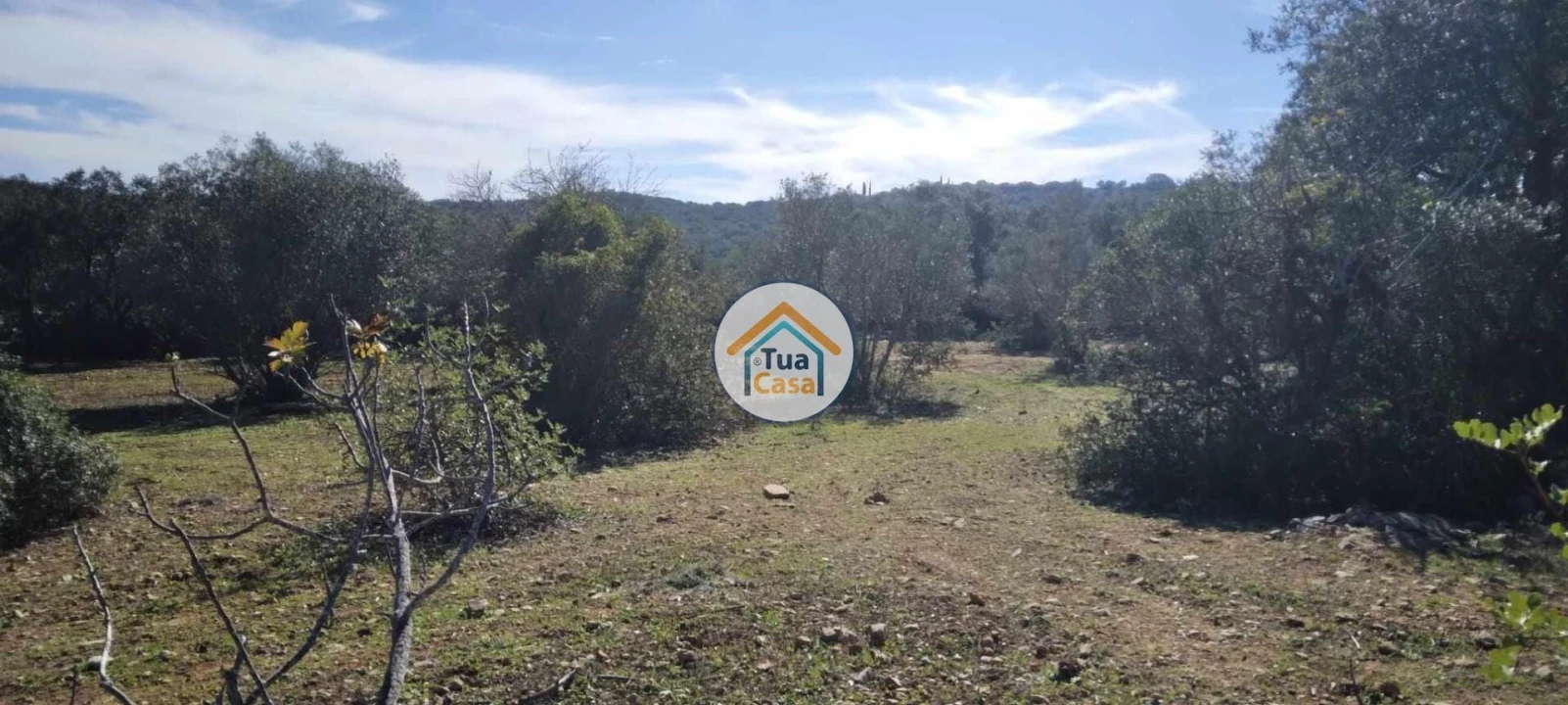 Terreno para Venda em São Brás de Alportel Foto 6