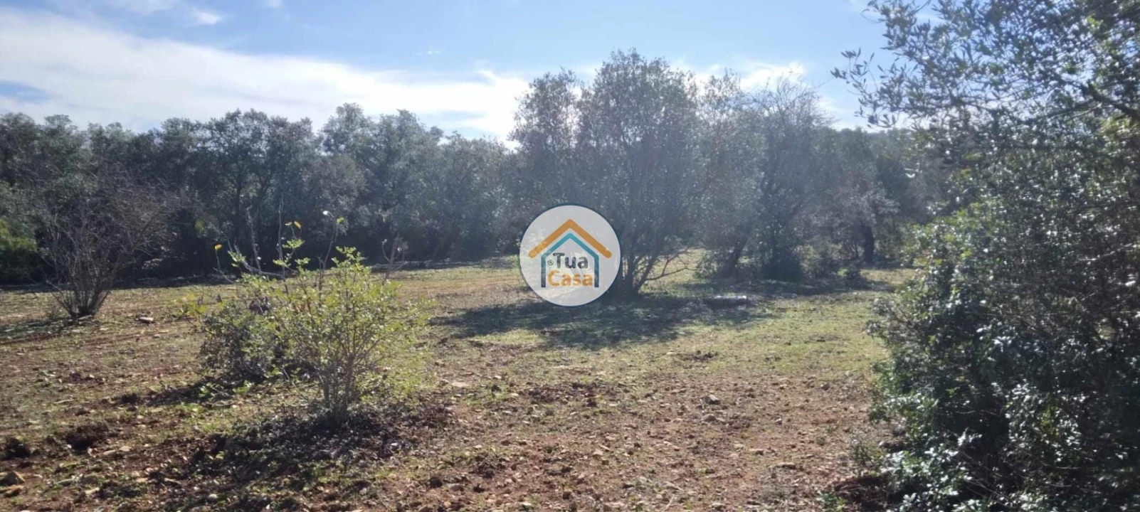 Terreno para Venda em São Brás de Alportel Foto 4