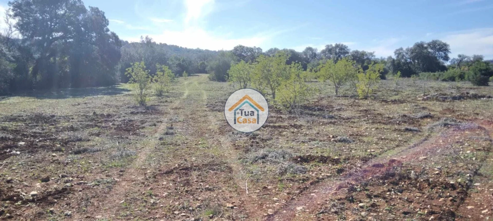 Terreno para Venda em São Brás de Alportel Foto 7