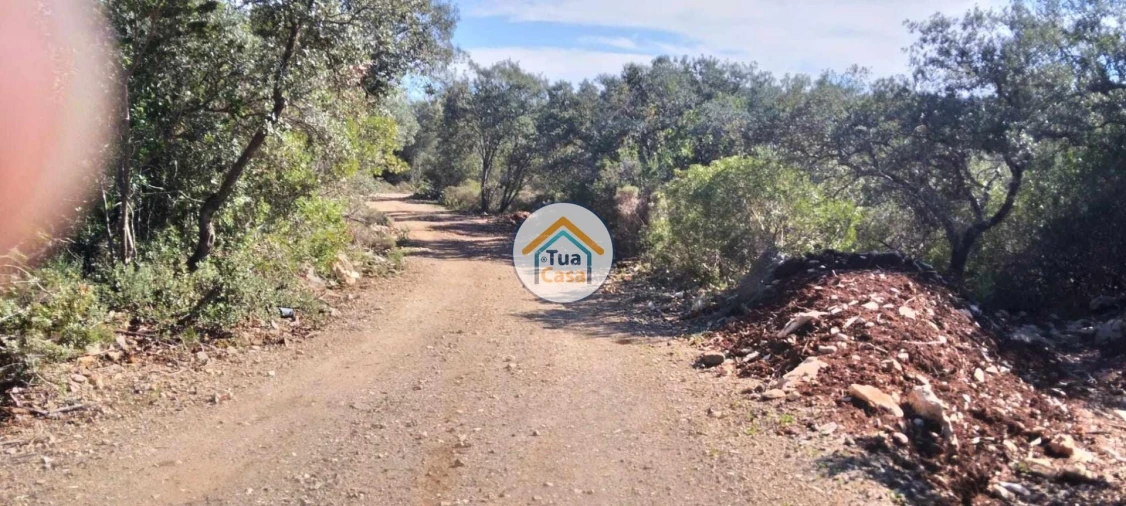 Terreno para Venda em São Brás de Alportel Foto 19