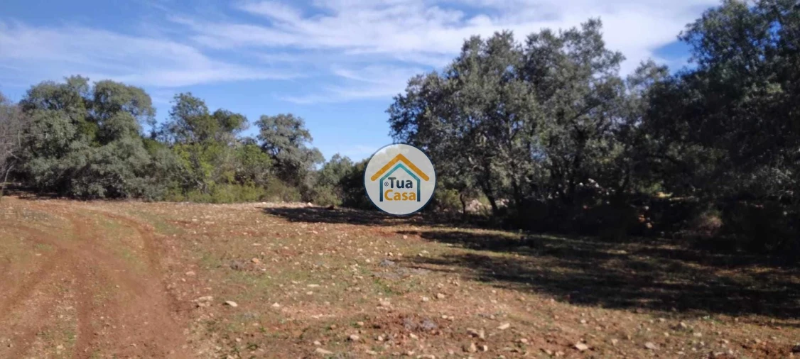 Terreno para Venda em São Brás de Alportel Foto 18