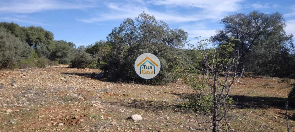 Terreno para Venda em São Brás de Alportel Foto 8