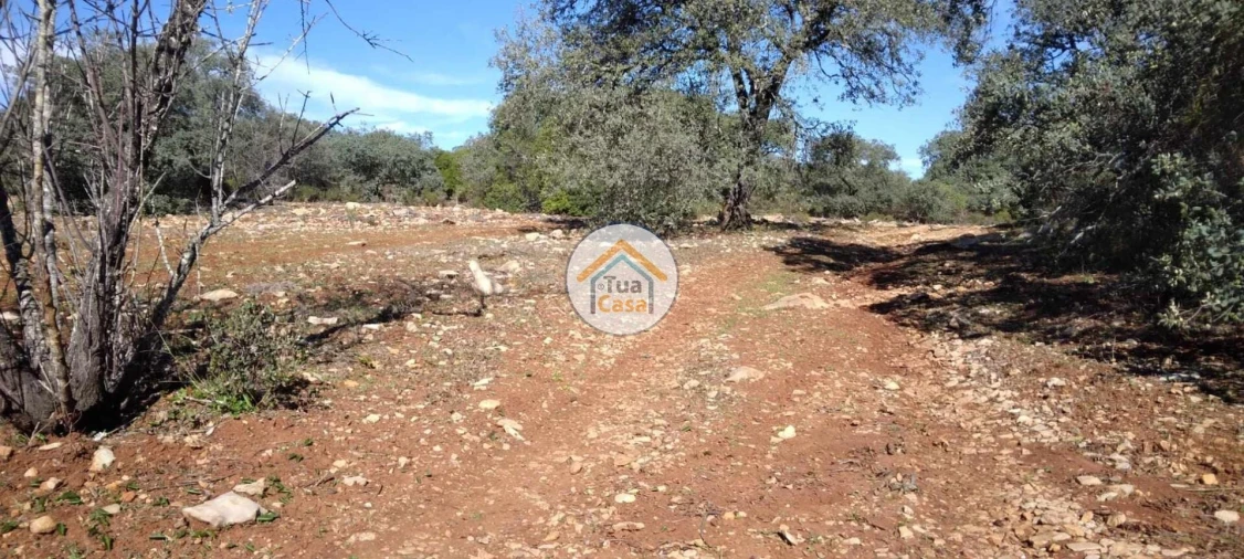 Terreno para Venda em São Brás de Alportel Foto 9