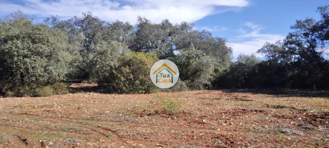Terreno para Venda em São Brás de Alportel Foto 17