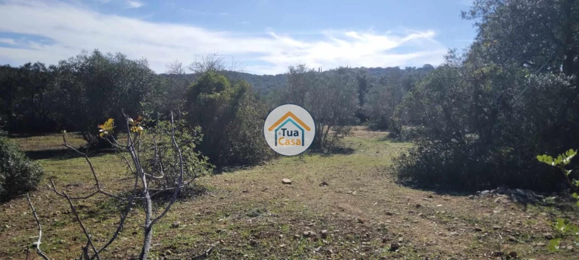 Terreno para Venda em São Brás de Alportel Foto 6