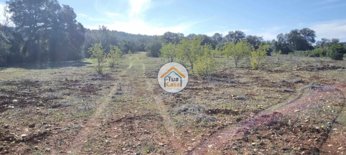 Terreno para Venda em São Brás de Alportel Foto 7