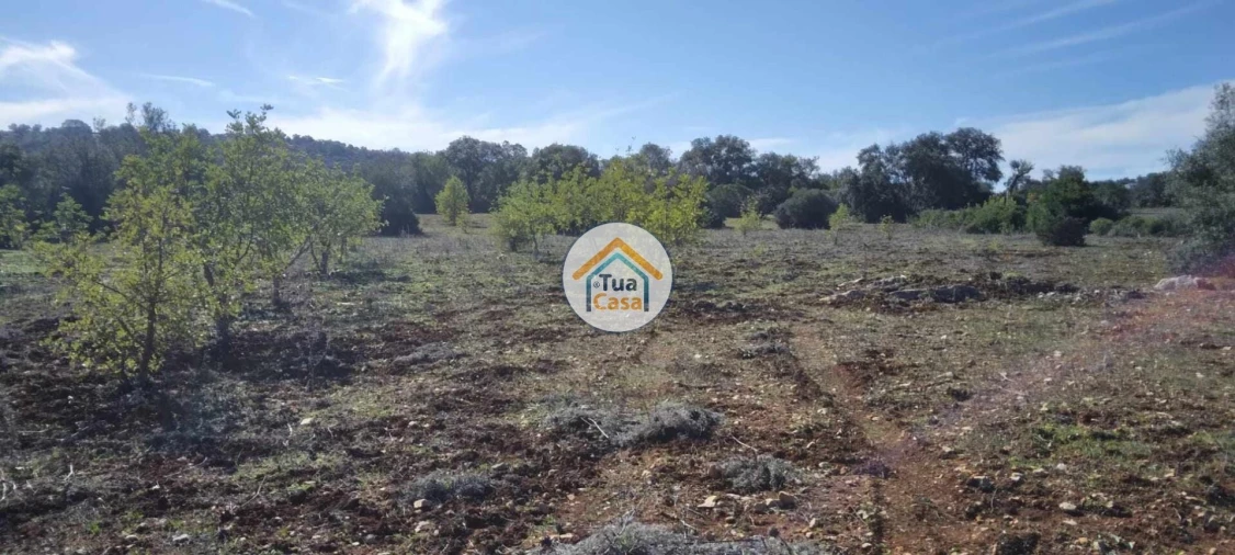 Terreno para Venda em São Brás de Alportel Foto 5