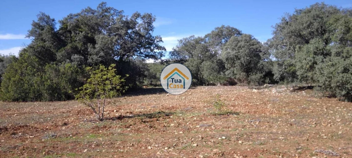 Terreno para Venda em São Brás de Alportel Foto 11
