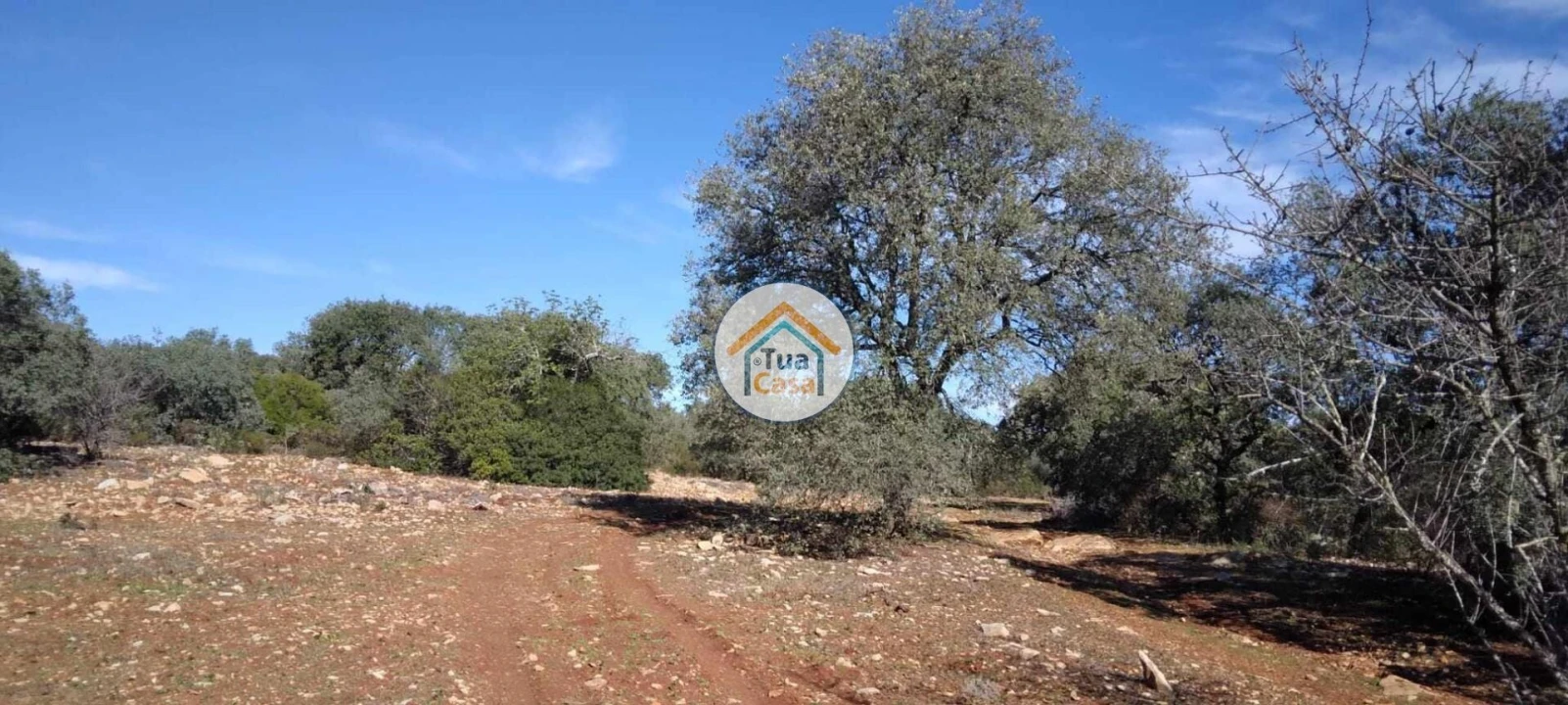 Terreno para Venda em São Brás de Alportel Foto 12