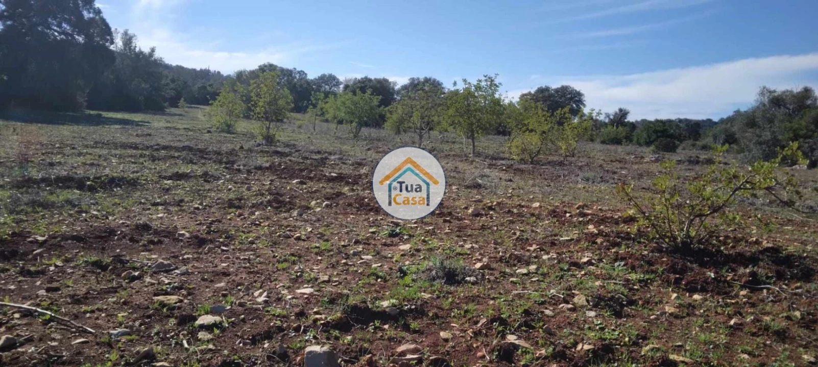 Terreno para Venda em São Brás de Alportel Foto 13