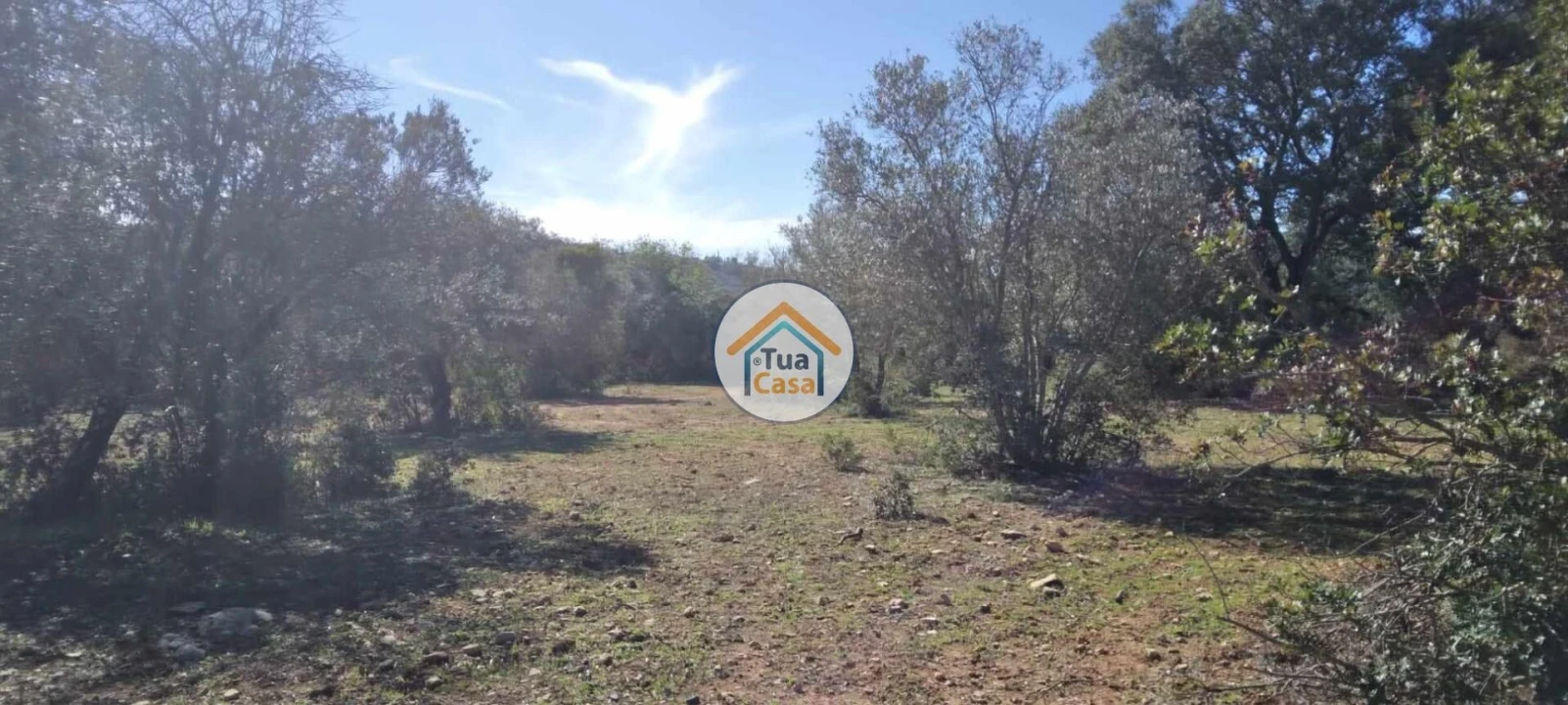 Terreno para Venda em São Brás de Alportel Foto 15
