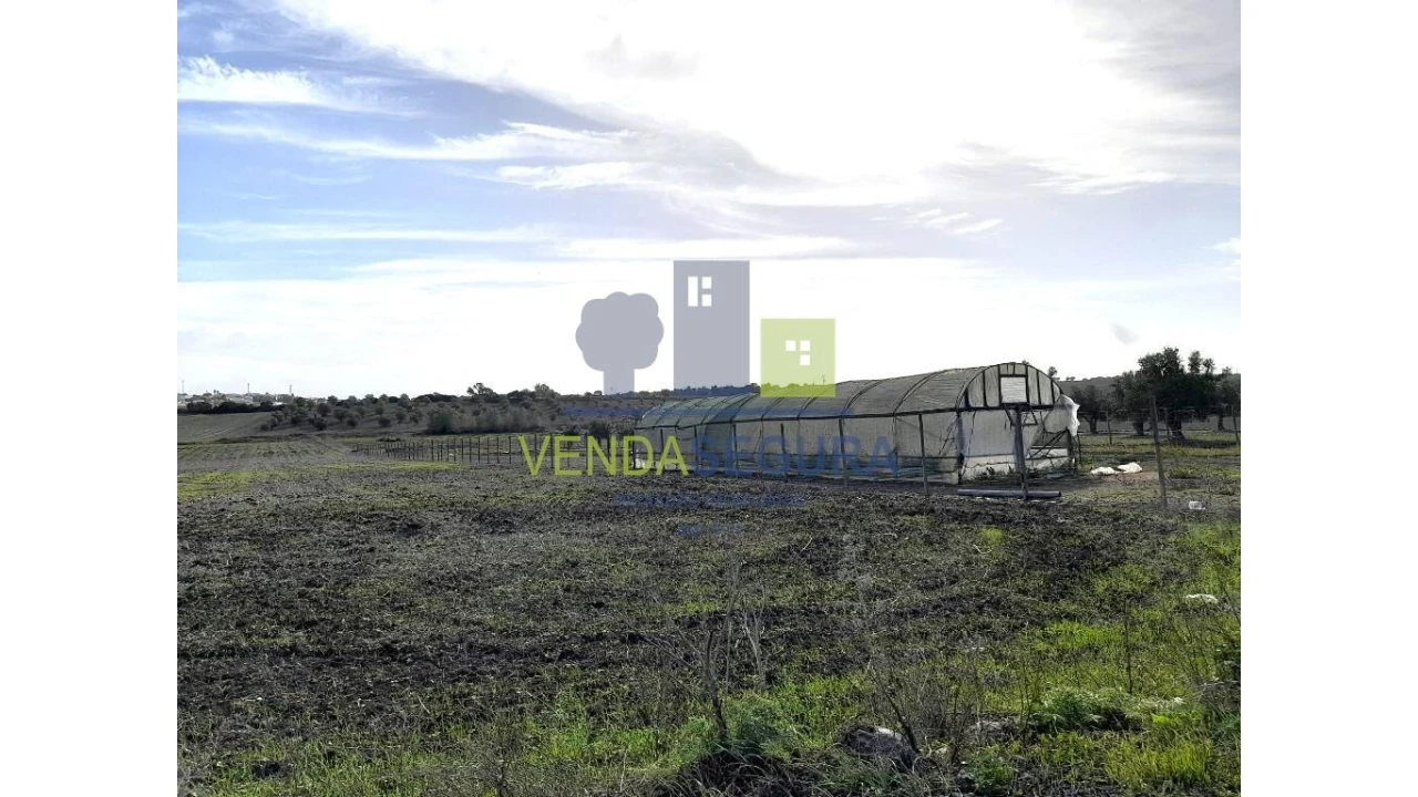 Terreno para Venda em Beringel Foto 14