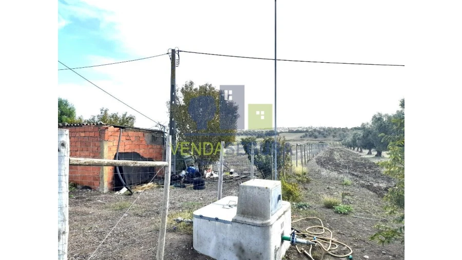 Terreno para Venda em Beringel Foto 12