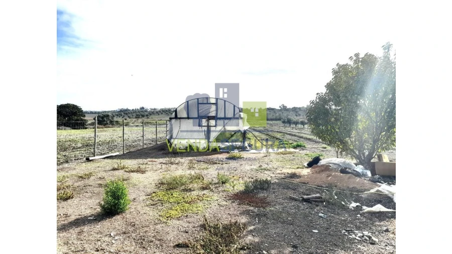 Terreno para Venda em Beringel Foto 8