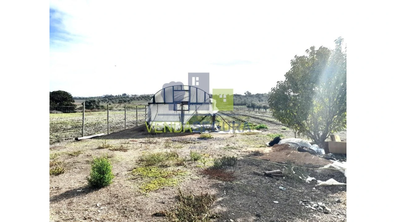 Terreno para Venda em Beringel Foto 8