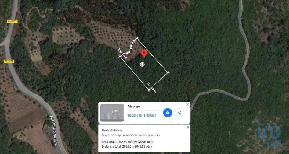 Terreno para Venda em Alvorge Foto 2