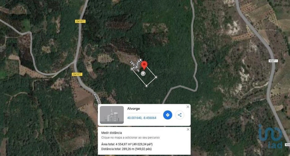 Terreno para Venda em Alvorge Foto 3