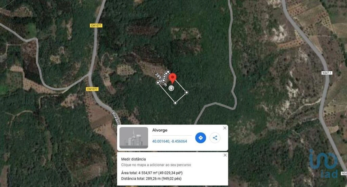 Terreno para Venda em Alvorge Foto 3