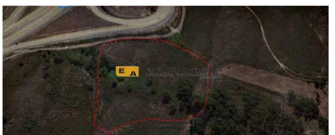 Terreno para Venda em Campo e Sobrado