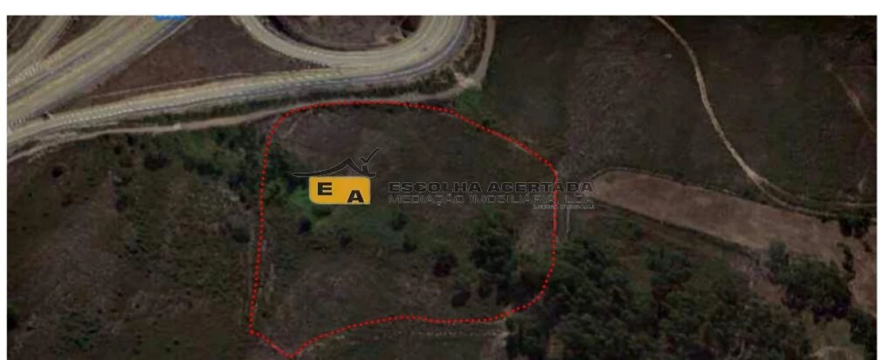 Terreno para Venda em Campo e Sobrado Foto 9