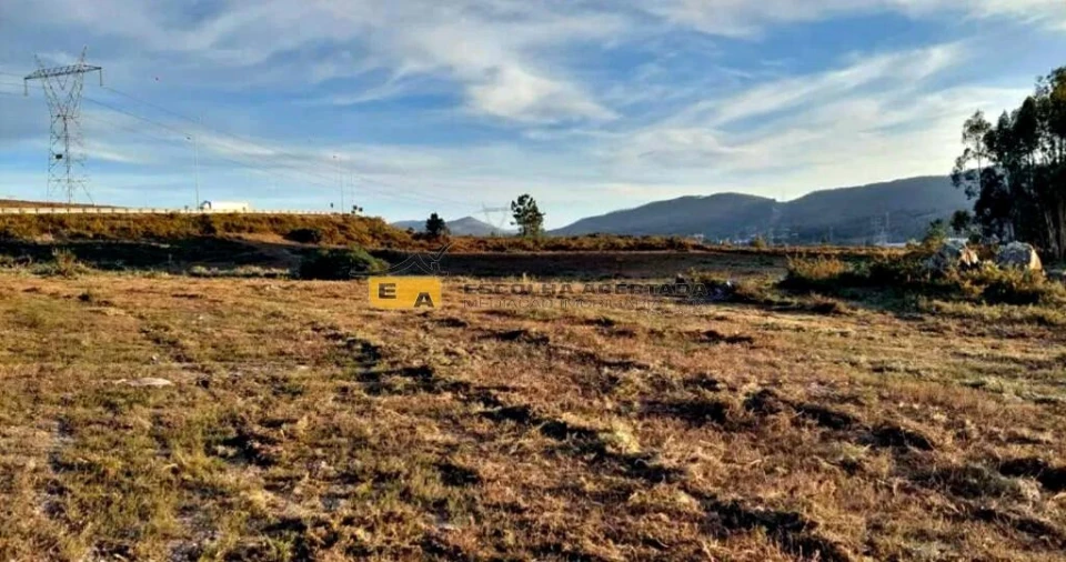Terreno para Venda em Campo e Sobrado Foto 4