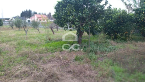 Terreno para Venda em Marinha Grande