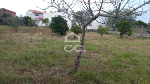 Terreno para Venda em Marinha Grande