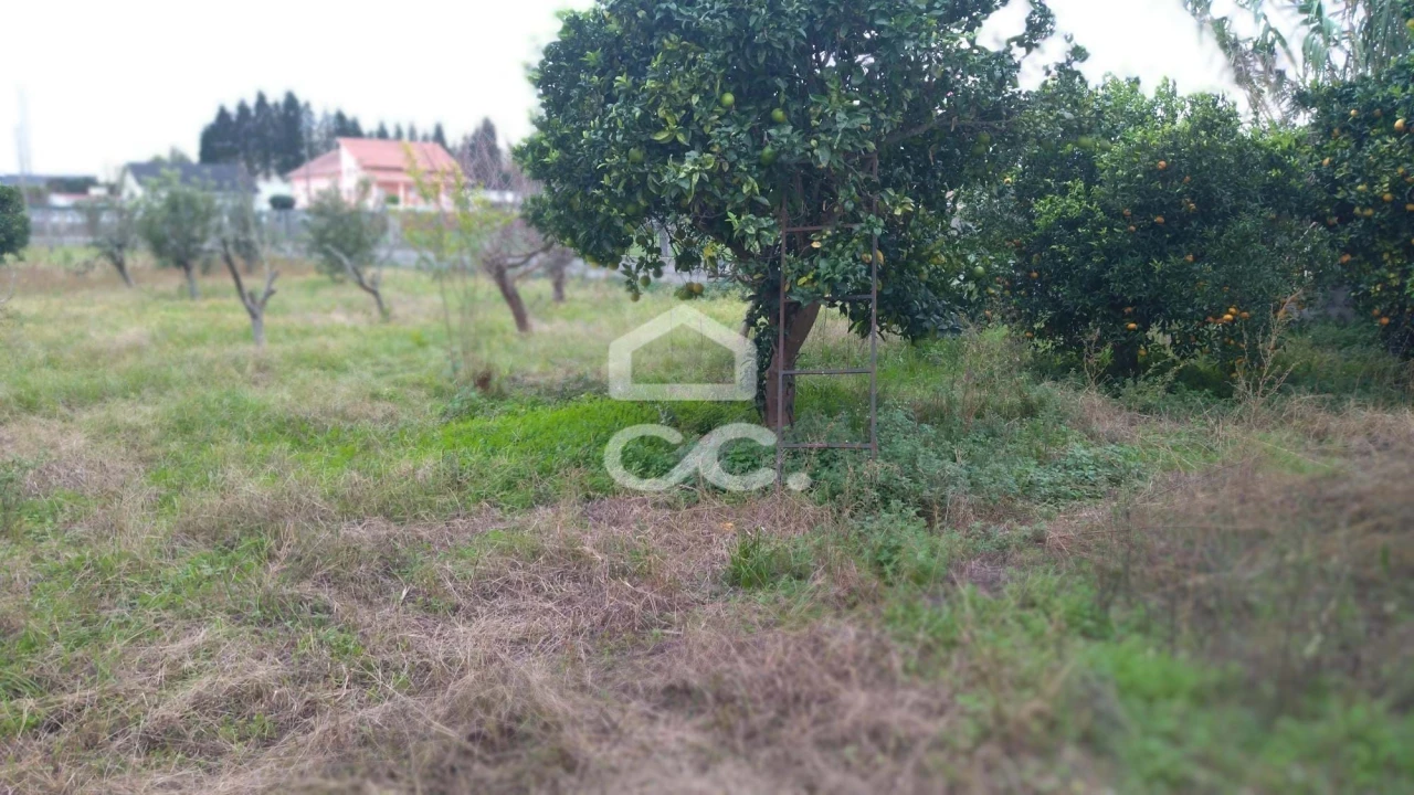 Terreno para Venda em Marinha Grande Foto 10