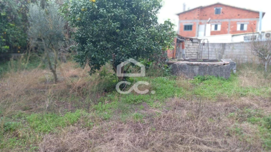 Terreno para Venda em Marinha Grande Foto 9