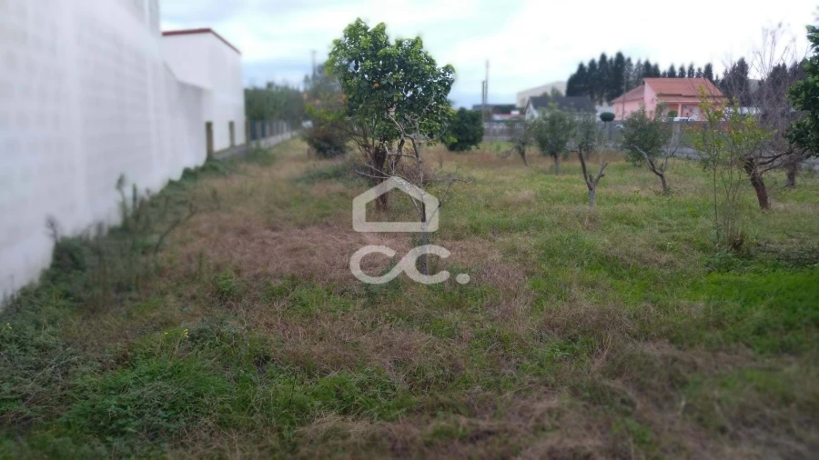 Terreno para Venda em Marinha Grande Foto 11