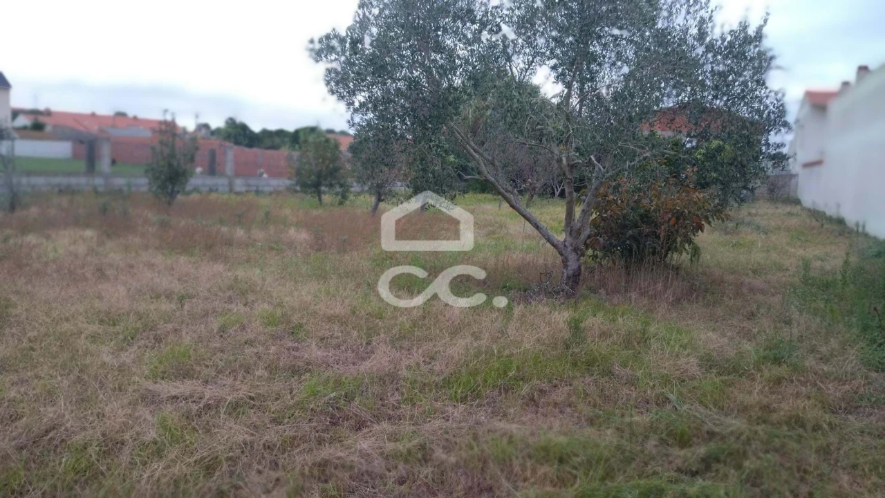 Terreno para Venda em Marinha Grande Foto 2