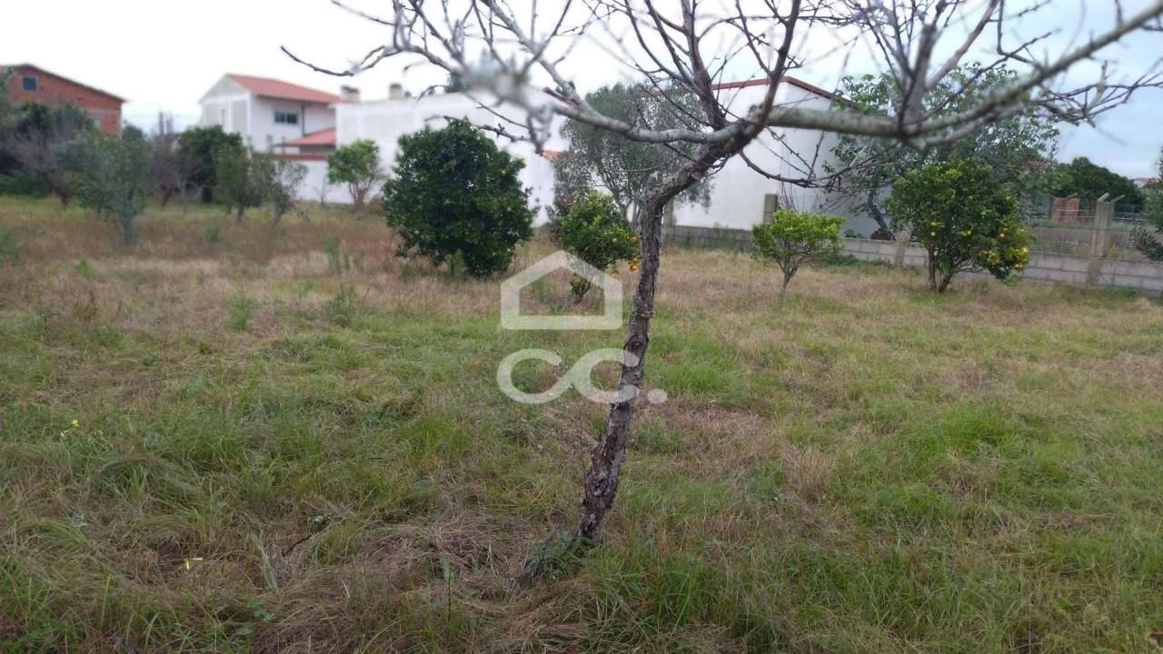 Terreno para Venda em Marinha Grande Foto 5