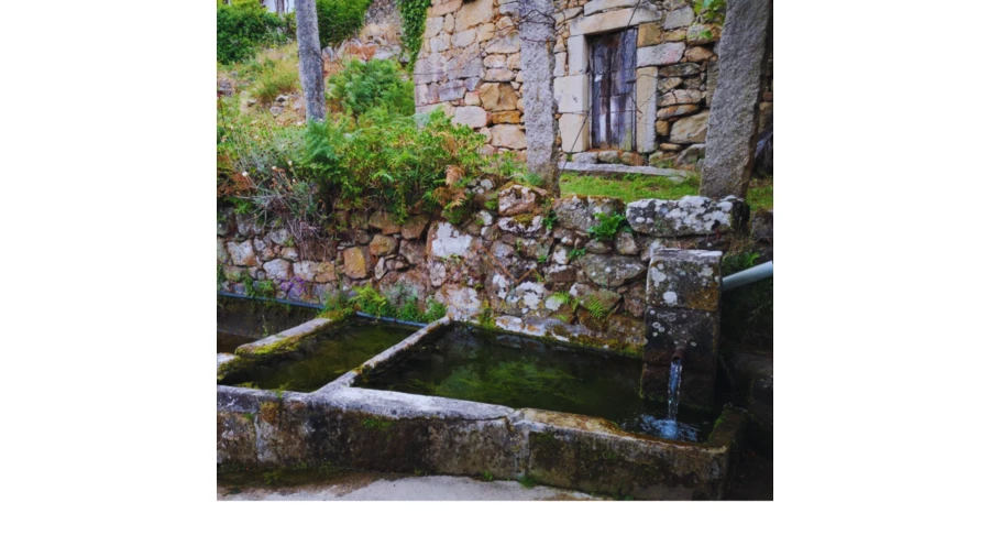 Terreno para Venda em Longos Vales Foto 2