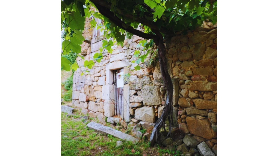 Terreno para Venda em Longos Vales Foto 3