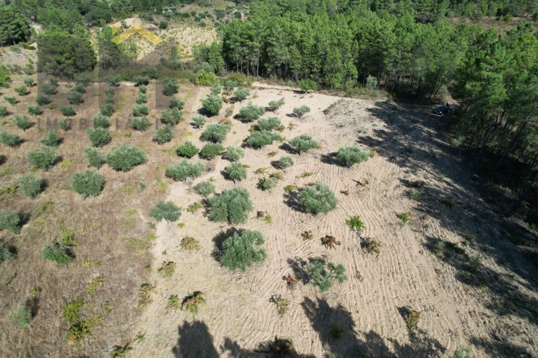 Terreno Agricola ou Rústico para Venda em Salgueiro do Campo Foto 4