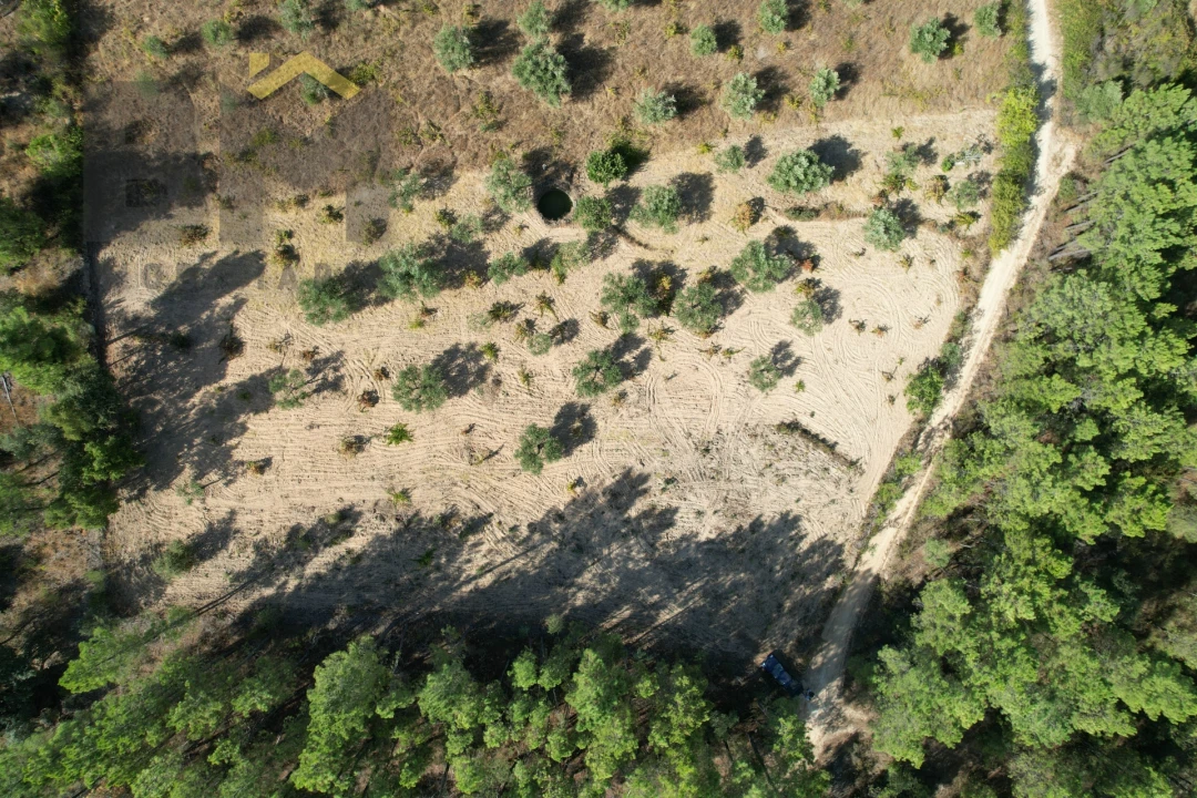 Terreno Agricola ou Rústico para Venda em Salgueiro do Campo Foto 2