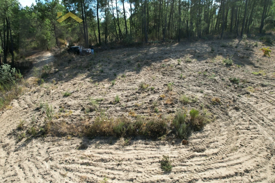 Terreno Agricola ou Rústico para Venda em Salgueiro do Campo Foto 14